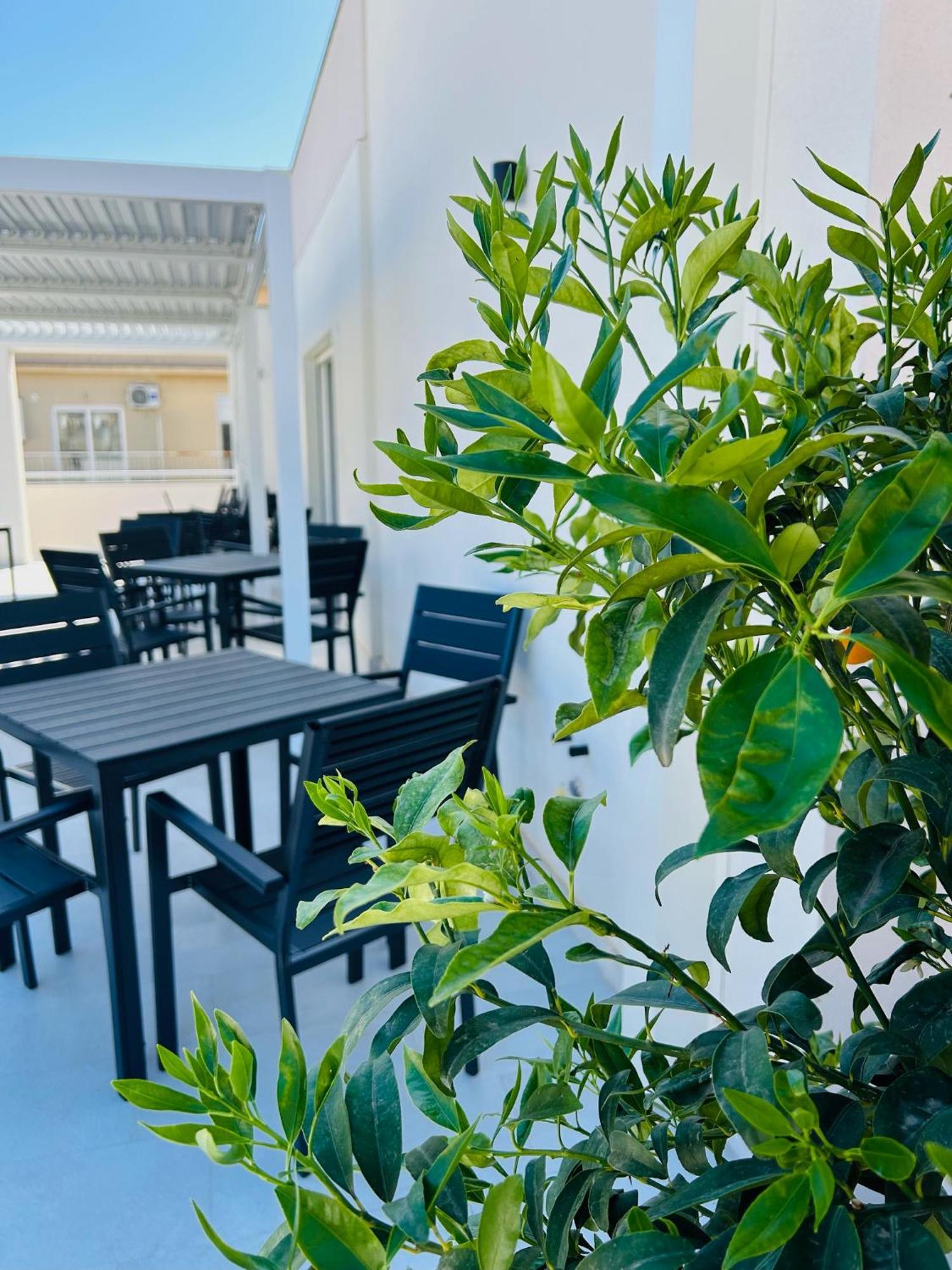 Aqua Marine B&B - Rooms And Apartments 米拉佐 外观 照片